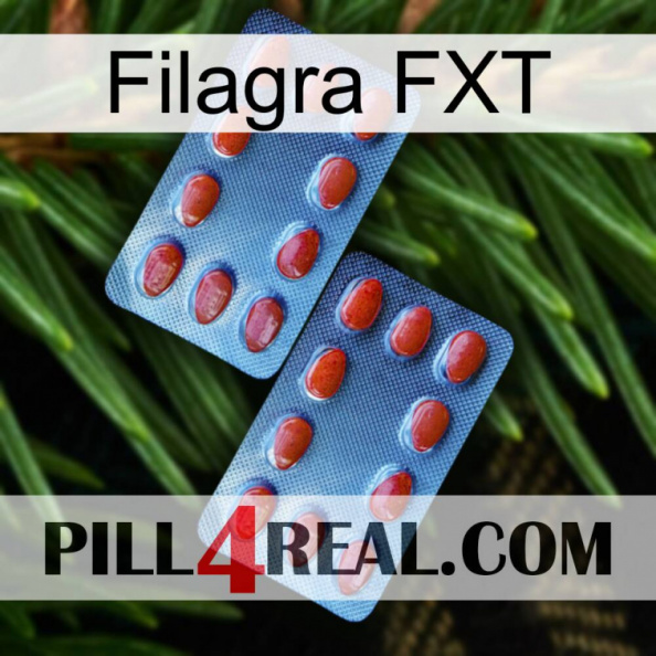 Filagra FXT 05.jpg